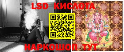 ПСИЛОЦИБИНОВЫЕ ГРИБЫ Новокубанск