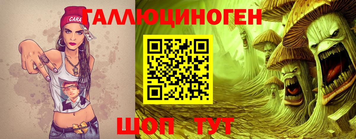 Псилоцибиновые грибы Psilocybe Солнечногорск
