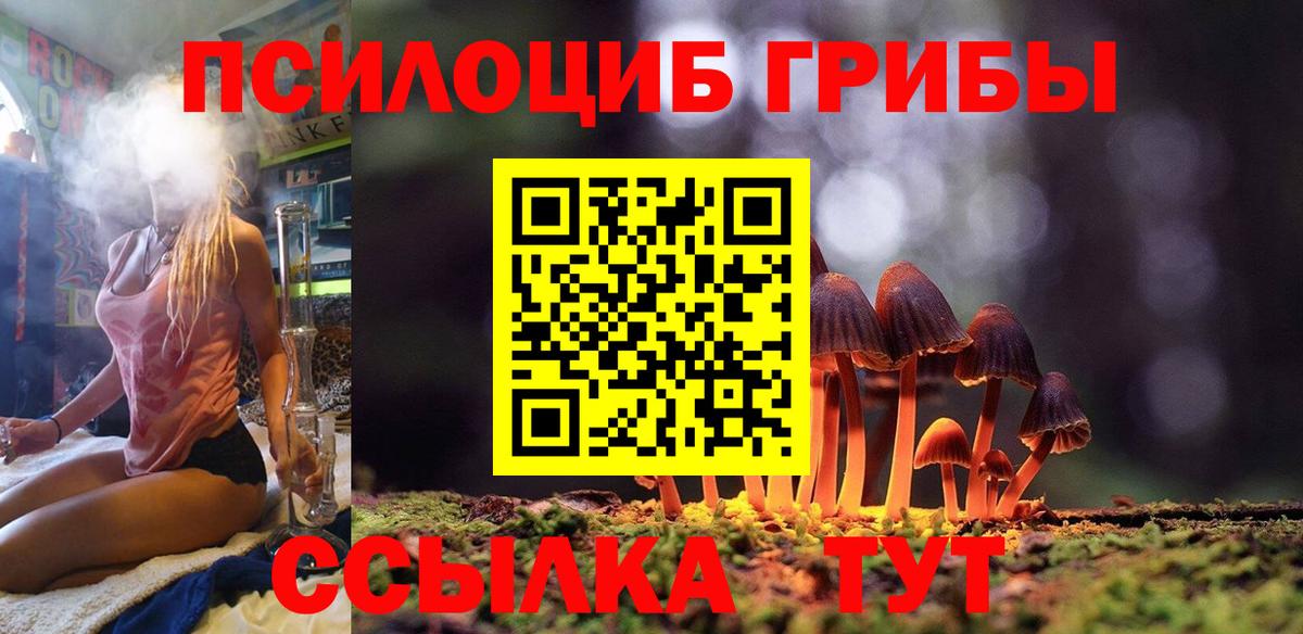 Солнечногорск  где купить наркоту  Вход с VPN  Псилоцибиновые грибы мицелий 